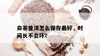 白茶普洱怎么保存更好，时间长不会坏？