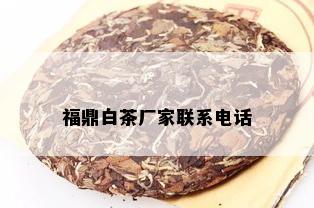 福鼎白茶厂家联系电话