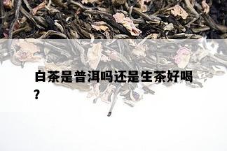 白茶是普洱吗还是生茶好喝？