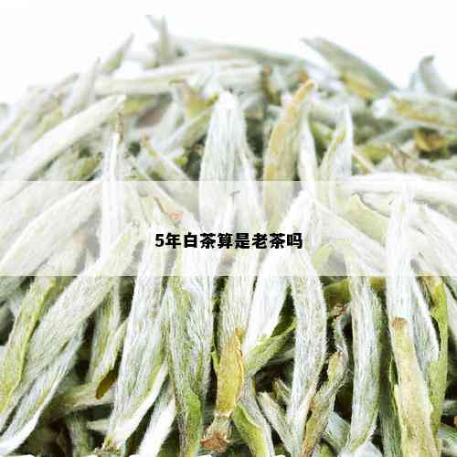 5年白茶算是老茶吗