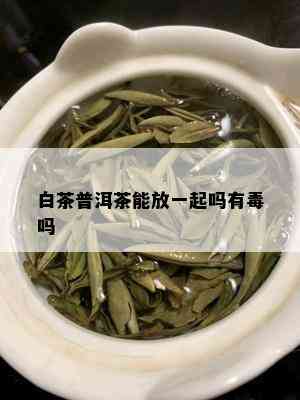 白茶普洱茶能放一起吗有吗