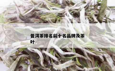 普洱茶排名前十名品牌及茶叶