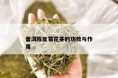 普洱陈皮菊花茶的功效与作用