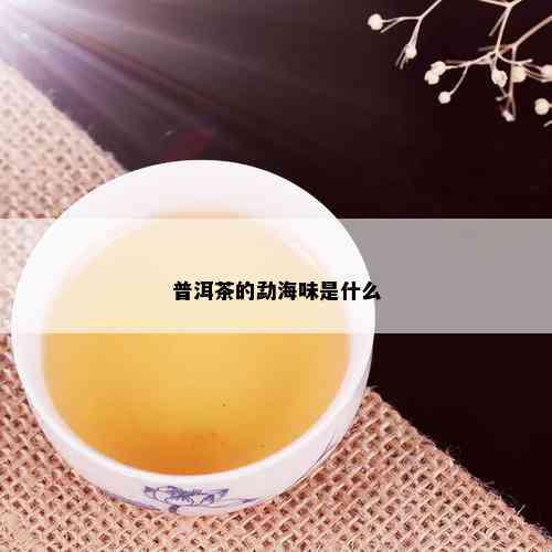 普洱茶的勐海味是什么