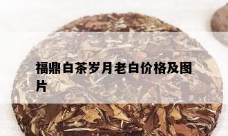 福鼎白茶岁月老白价格及图片