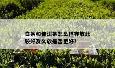 白茶和普洱茶怎么样存放比较好及久放是否更好？