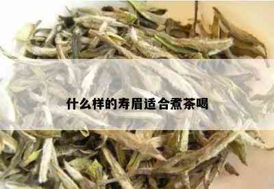 什么样的寿眉适合煮茶喝