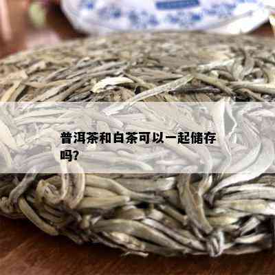 普洱茶和白茶可以一起储存吗？