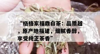 “格格家福鼎白茶：品质越，原产地福建，细腻香醇，享受纯正茶香”