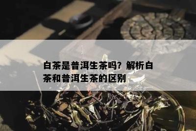 白茶是普洱生茶吗？解析白茶和普洱生茶的区别