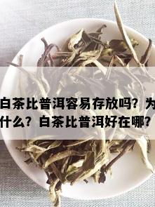 白茶比普洱容易存放吗？为什么？白茶比普洱好在哪？