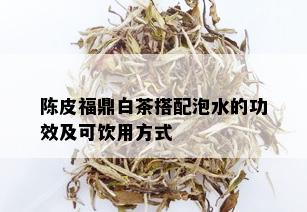 陈皮福鼎白茶搭配泡水的功效及可饮用方式