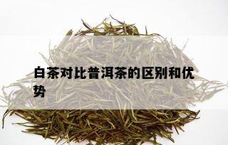 白茶对比普洱茶的区别和优势