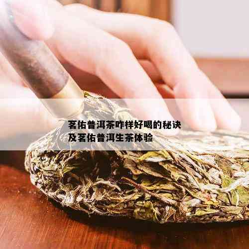 茗佑普洱茶咋样好喝的秘诀及茗佑普洱生茶体验