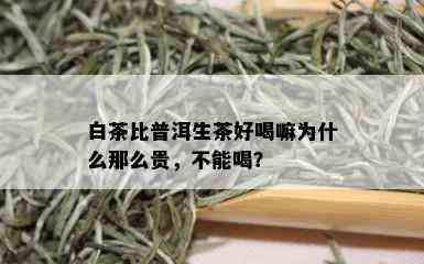 白茶比普洱生茶好喝嘛为什么那么贵，不能喝？