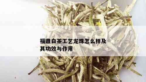 福鼎白茶工艺龙珠怎么样及其功效与作用