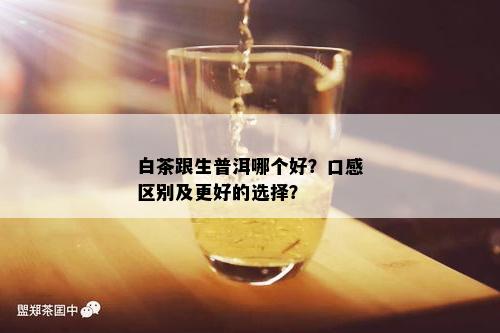 白茶跟生普洱哪个好？口感区别及更好的选择？