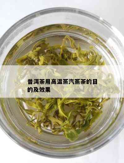 普洱茶用高温蒸汽蒸茶的目的及效果