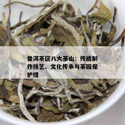 普洱茶区八大茶山：传统制作技艺、文化传承与茶园保护措