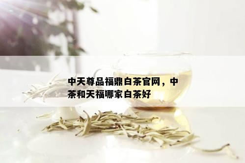 中天尊品福鼎白茶官网，中茶和天福哪家白茶好