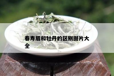 春寿眉和牡丹的区别图片大全