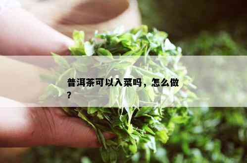 普洱茶可以入菜吗，怎么做？