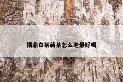 福鼎白茶新茶怎么泡更好喝