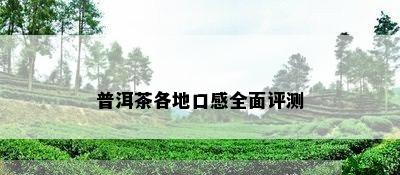 普洱茶各地口感全面评测