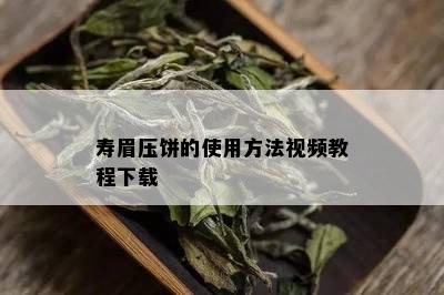 寿眉压饼的使用方法视频教程下载