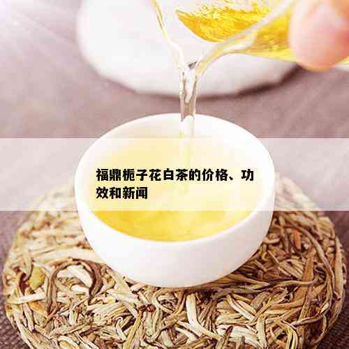 福鼎栀子花白茶的价格、功效和新闻