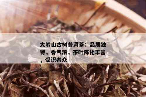 大岭山古树普洱茶：品质独特，香气浓，茶叶陈化丰富，受识者众