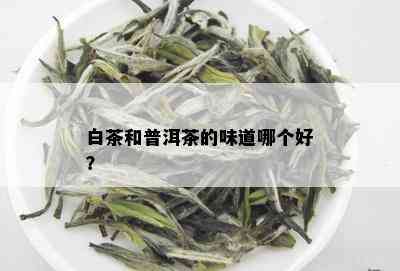 白茶和普洱茶的味道哪个好？