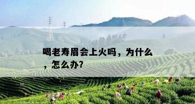 喝老寿眉会上火吗，为什么，怎么办？