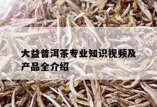 大益普洱茶专业知识视频及产品全介绍