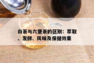 白茶与六堡茶的区别：萃取、发酵、风味及保健效果