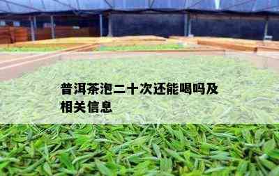 普洱茶泡二十次还能喝吗及相关信息