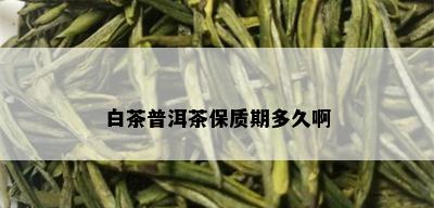 白茶普洱茶保质期多久啊