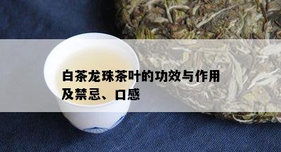 白茶龙珠茶叶的功效与作用及禁忌、口感