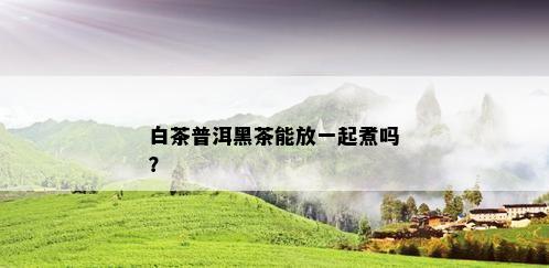 白茶普洱黑茶能放一起煮吗？