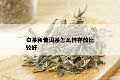 白茶和普洱茶怎么样存放比较好