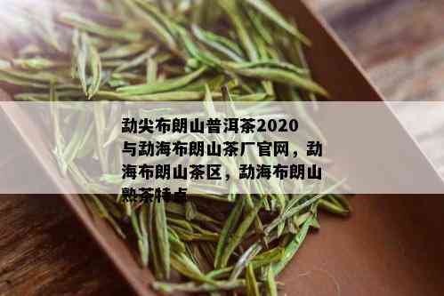 勐尖布朗山普洱茶2020与勐海布朗山茶厂官网，勐海布朗山茶区，勐海布朗山熟茶特点