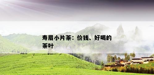 寿眉小片茶：价钱、好喝的茶叶