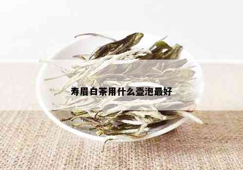 寿眉白茶用什么壶泡更好