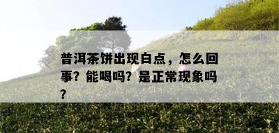 普洱茶饼出现白点，怎么回事？能喝吗？是正常现象吗？