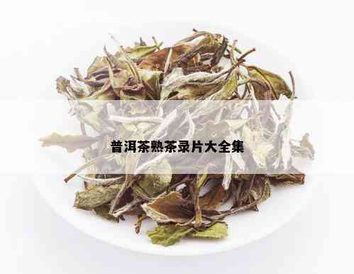 普洱茶熟茶录片大全集