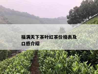 福满天下茶叶红茶价格表及口感介绍