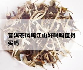 普洱茶凤鸣江山好喝吗值得买吗