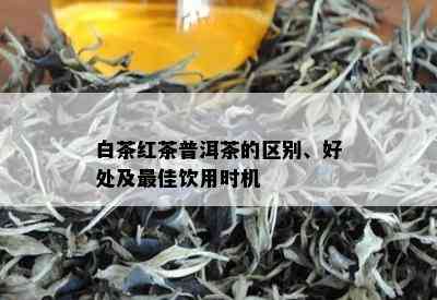 白茶红茶普洱茶的区别、好处及更佳饮用时机