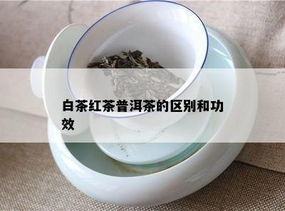 白茶红茶普洱茶的区别和功效