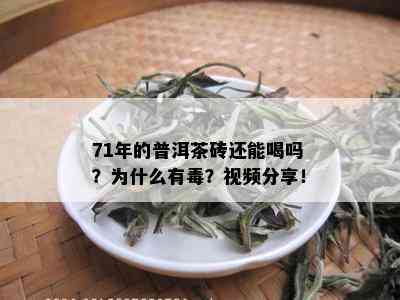 71年的普洱茶砖还能喝吗？为什么有？视频分享！